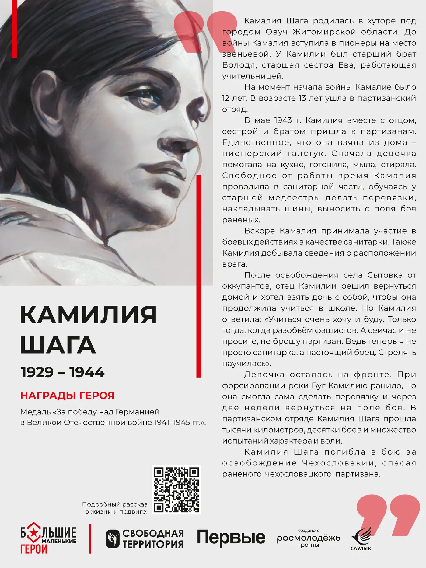 Исходный макет стенда «Камалия Шага»
